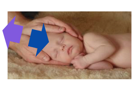 Коли долоні обіймають голову немовляти, можна ловити свої відчуття, а можна - свої почуття. Уважними долонями мама може вимірювати температуру дитини, а може відчувати і передавати ніжність.